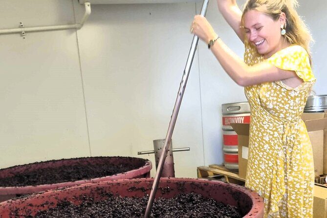 Small Group Hunter Valley Wine Tour + Lunch, Gin & Choc ex Sydney - Who Will Love This Tour?