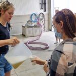 Small Group Hunter Valley Wine Tour w Lunch, Gin, Cheese & Choc - Authentic Experiences and Practical Value