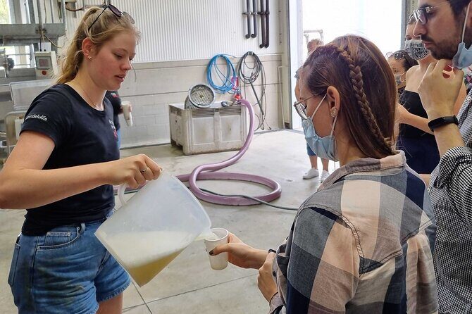 Small Group Hunter Valley Wine Tour w Lunch, Gin, Cheese & Choc - Authentic Experiences and Practical Value