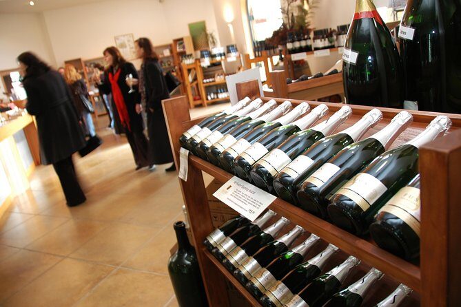 Small-Group Kumeu Wine Country Tour with Wine Tastings & Lunch - FAQ: Practical Questions About the Tour