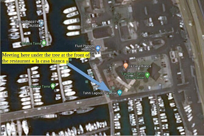 Small group snorkeling (5 people max): wrecks & tropical fishes at 1:00pm - Price and Value Analysis