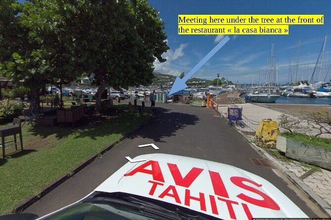 Small group snorkeling (5 people max): wrecks & tropical fishes at 3:30pm - Why This Tour Stands Out