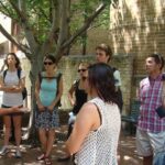 Small-Group Sydney City Walking Tour - The Experience: What You Can Expect