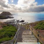 Small Group Tour of 2-7pax in Phillip Island & Churchill Island - What’s Included and What’s Not