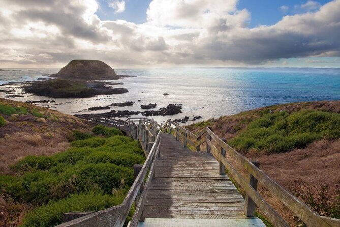 Small Group Tour of 2-7pax in Phillip Island & Churchill Island - What’s Included and What’s Not