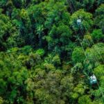 Small Group Waterfall Wetlands+ Skyrail All Inclusive from Cairns - Frequently Asked Questions