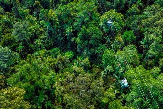 Small Group Waterfall Wetlands+ Skyrail All Inclusive from Cairns - Frequently Asked Questions