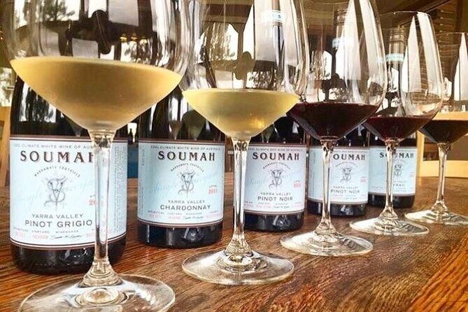 Small Group Yarra Valley: Redwoods Forest & Premium Wine Tour - Why This Tour Offers Great Value