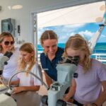 Snorkel & Dive the Reef: Sustainable, Scientific & Cultural Tour - A Closer Look at the Itinerary