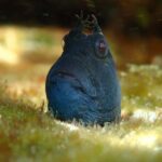 Snorkeling Adventure for Kids with Private Guide In Sydney - What’s Included and What’s Not