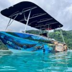 Snorkeling EN Small Group Tour in Tahiti - Stop 4: Faaa – Wrecks and Colorful Reefs Close to Papeete