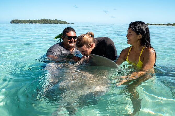 Snorkeling excursion and encounter with marine fauna in Moorea - The Practicalities: What to Expect