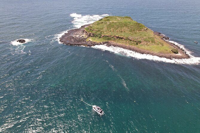 Snorkeling with Turtles  Cook Island Marine Reserve - The Itinerary: What to Expect