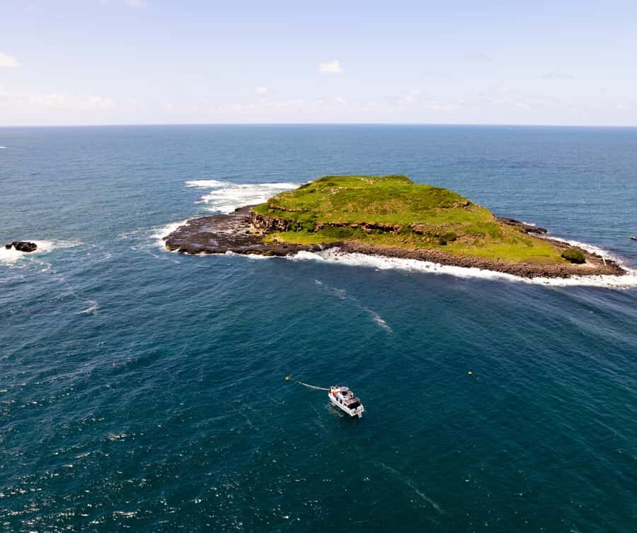 Snorkelling with Turtles at Cook Island Marine Rserve - Why This Tour Works for Different Travelers