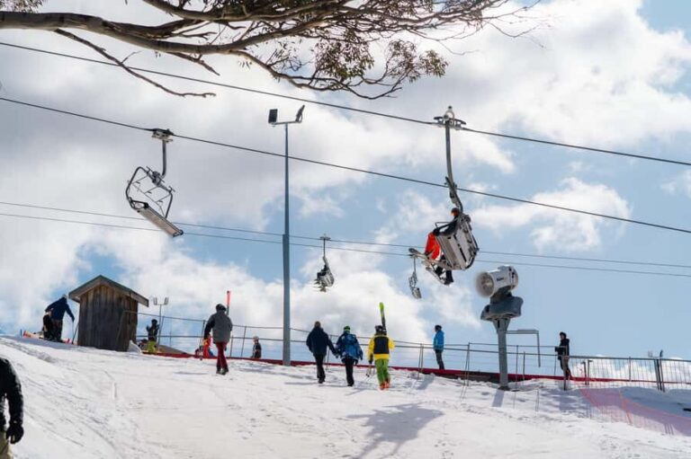 Snowy Escapes: Mount Buller Alpine Adventure - Is This Tour Worth the Price?