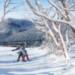 Snowy Mountains: 1-Day Snow Adventure at Thredbo From Sydney - What’s in the Price?