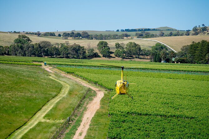 Southern Barossa: 10-Minute Helicopter Flight - The View from Above: Why It Matters