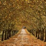 Southern Highlands Private Tour with Wine, Waterfall and Garden - Who Should Consider This Tour?