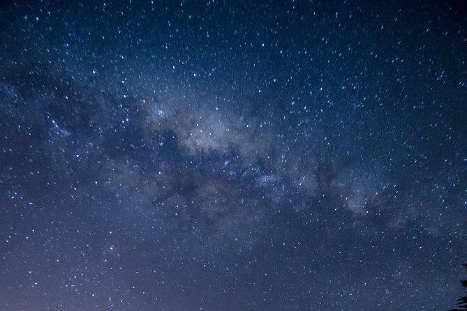 Southern Skies Stargazing Tour in Dunedin - Who Should Book This Tour