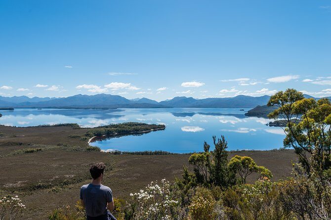 Southwest Tasmania Wilderness Experience: Fly Cruise and Walk Including Lunch - Exploring the Southwest National Park