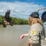 Spectacular Jumping Crocodile Cruise with Darwin Transfer Bus - The Crocodile Cruise