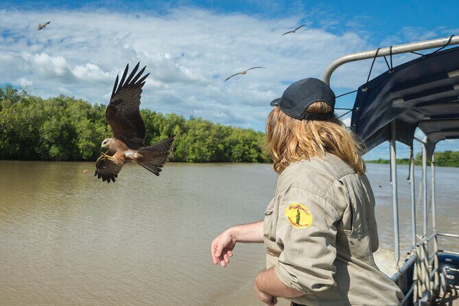 Spectacular Jumping Crocodile Cruise with Darwin Transfer Bus - The Crocodile Cruise