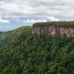 Spring Brook National Park Driving Tour with an APP - The App Experience and Its Benefits