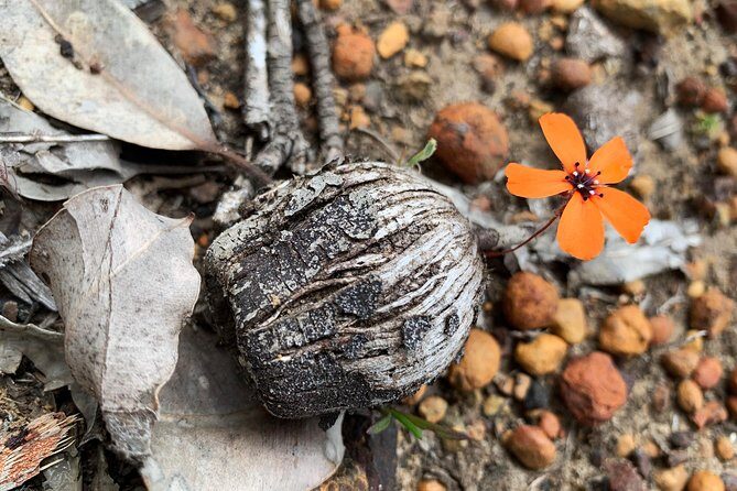 Spring Wildflower Private Day Tours - The Itinerary Breakdown