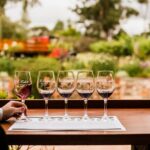 St Hallett Ultimate "Barossa Shiraz" Experience - Who Should Consider This Tour?