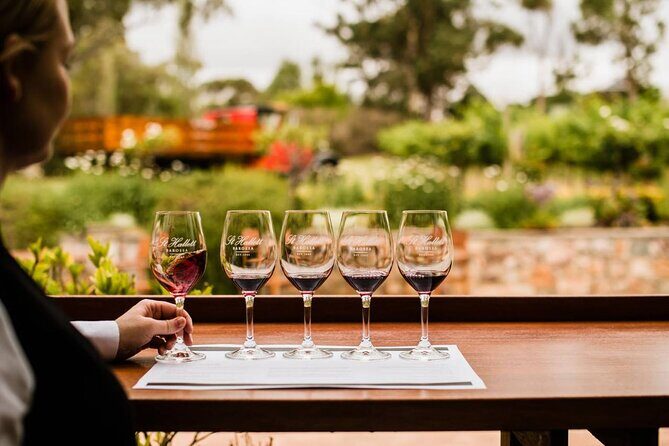 St Hallett Ultimate "Barossa Shiraz" Experience - Who Should Consider This Tour?
