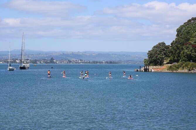 Stand Up Paddle Board Adventure in Mount Maunganui - Who Will Love This Experience?