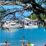 Stand Up Paddle Rental 1hr - What to Expect from the Tour