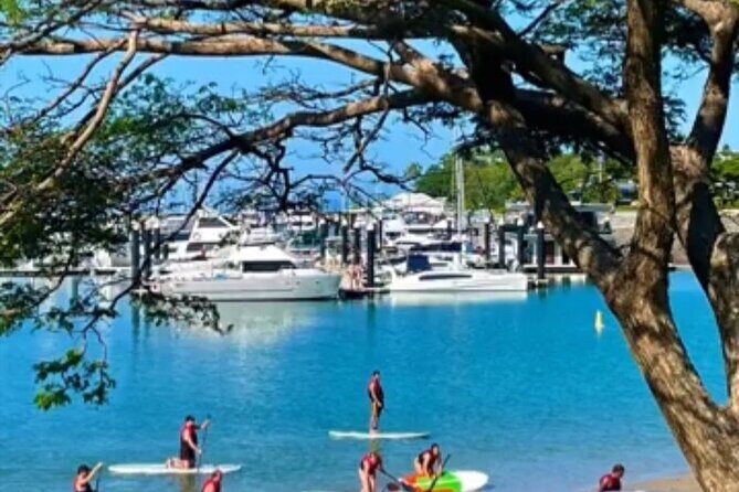 Stand Up Paddle Rental 1hr - What to Expect from the Tour