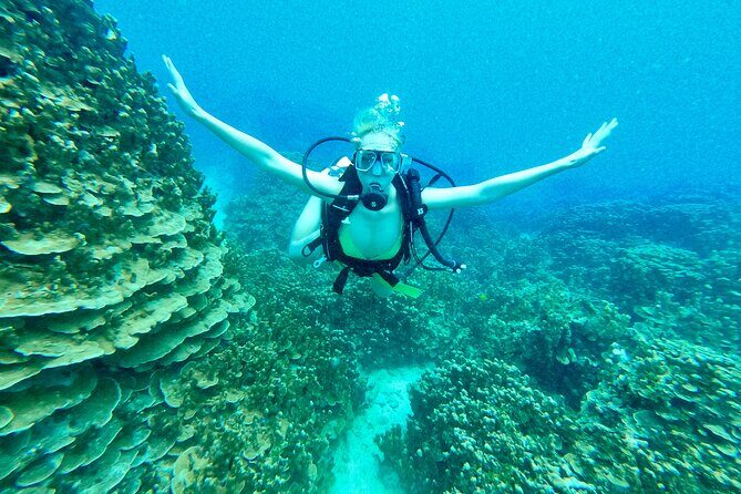 StandUp PaddleBoard Lesson and Experience Scuba Diving Package! - Why This Tour Feels Special