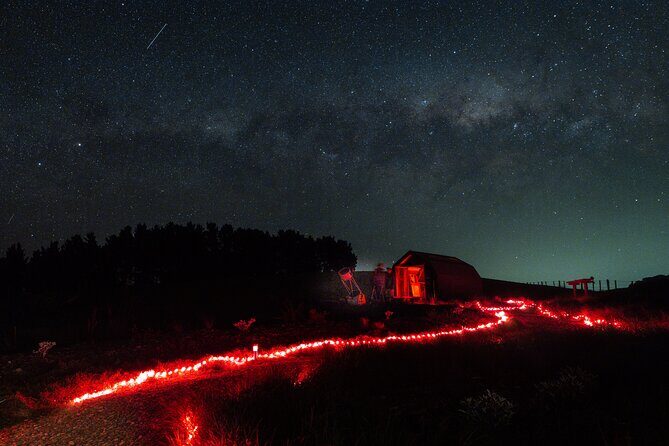 Star Safari Stargazing Experience, Martinborough - Who Should Consider This Tour?
