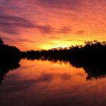 Starlights Cruise Experience - Final Thoughts: Who Will Love This Tour?