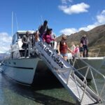 Stevensons Island Cruise and Nature Walk - The Breakdown of the Itinerary