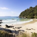 Stewart Island: Guided Wilderness Walk - The Value of the Experience