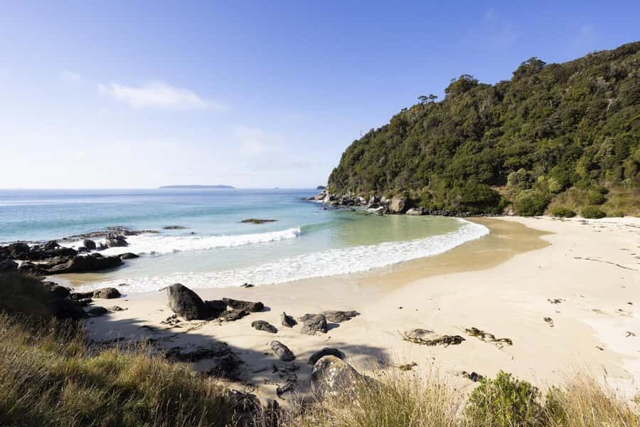 Stewart Island: Guided Wilderness Walk - The Value of the Experience