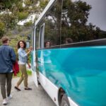 Stewart Island: Village and Bays Tour - The Sum Up