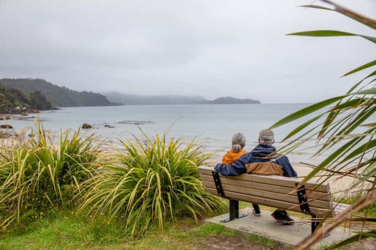 Stewart Island: Village and Bays Tour - An In-depth Look at What to Expect