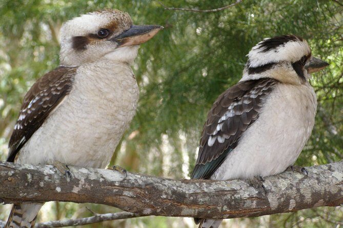 Stradbroke Island 4WD Day Trip from Brisbane - A Detailed Look at the Stradbroke Island 4WD Day Trip