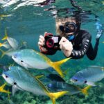 Sunlover Reef Cruises Cairns Great Barrier Reef Experience - Who Should Consider This Tour?