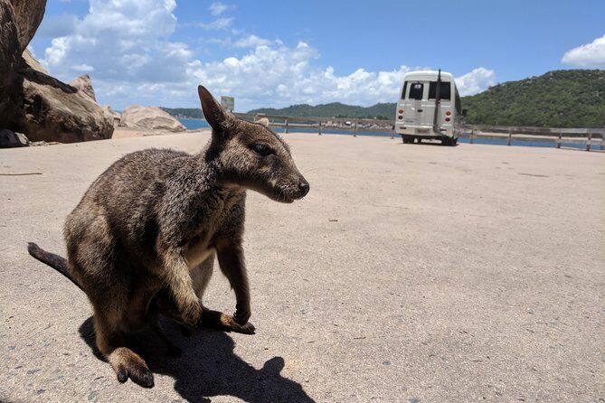Sunset Cruise on Magnetic Island - Where the Tour Meets and What to Expect