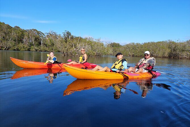 Sunset Kayak Eco Tour with Marine Scientist - Value and Pricing Analysis