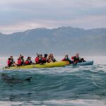 Sunset Kayak tour in Kaikoura - Authentic Experiences from Other Travelers