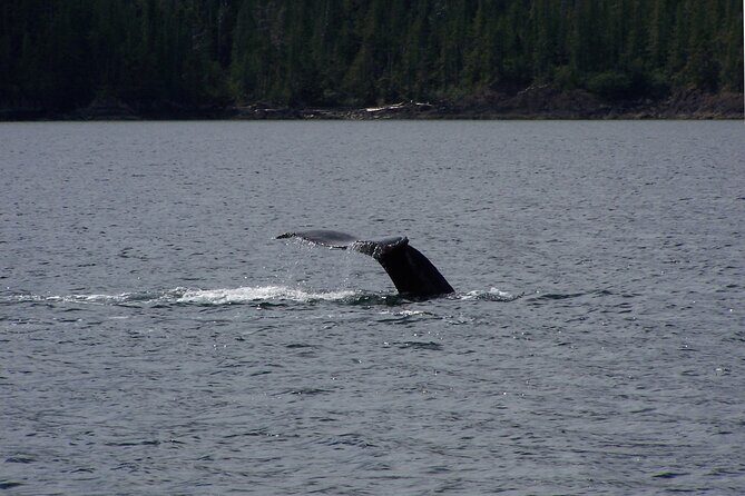 Sunset sailing trip on the Lagoon of Tahiti - Included amenities: snacks, drinks, and more