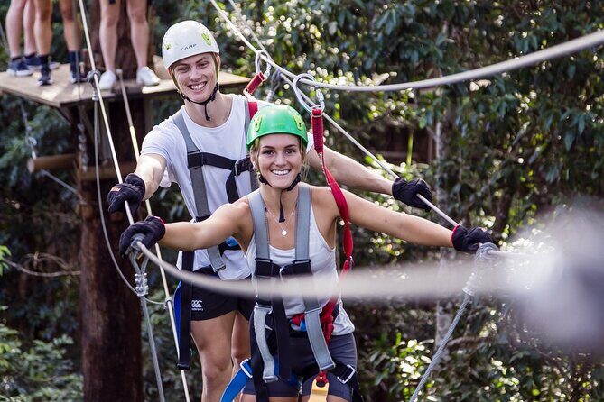 Sunshine Coast Adventure Park TreeTop Challenge - What You Can Expect at Each Stage