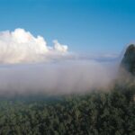 Sunshine Coast and Noosa Private Tour Inc. 2-Course Gourmet Lunch - Practical Details & Considerations