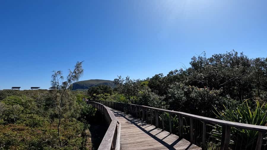Sunshine Coast: Easy Peasy Novotel North E-Bike Tour - The Itinerary in Detail